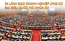 [Infographic] 30 lãnh đạo doanh nghiệp ứng cử đại biểu Quốc hội khóa XV