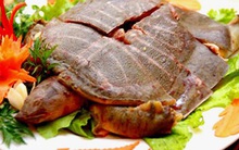 Thai phụ sốc phản vệ sau khi ăn ba ba: Bác sĩ chỉ ra nhóm người không nên ăn