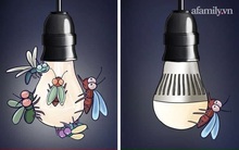 8 lỗi phổ biến vô tình đẩy nhà bạn thành "nơi trú ẩn" của côn trùng