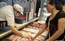 Giá lợn hơi xuống thấp nhất trong một năm qua