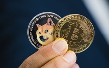 Từ Bitcoin đến Dogecoin: Động lực thực sự thúc đẩy đà tăng là gì và đâu là tương lai của thị trường tiền số?