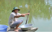 Thu nhập hàng trăm triệu đồng từ mô hình nuôi tôm càng xanh toàn đực