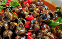 1,8 tấn ốc ngâm hóa chất ở quận 8 TP.HCM bị phanh phui: "Sát thủ" kinh hoàng đe dọa sức khỏe người tiêu dùng