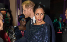 Hoàng tử Harry tiết lộ chi tiết việc Meghan Markle lên kế hoạch tự kết liễu đời mình nhưng lại từ bỏ với lý do đặc biệt