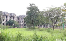 Đánh thuế biệt thự ‘bỏ hoang’ lập tức có người vào ở ngay!