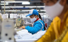 Xây "lá chắn", tích "của để dành", "vượt bão" COVID-19