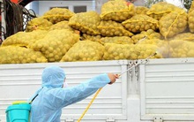 Thiếu kho đông lạnh, xuất khẩu nông sản gặp khó