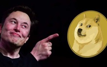 Tranh cãi danh tính "cá mập" lớn nhất sở hữu 12 tỷ USD dogecoin