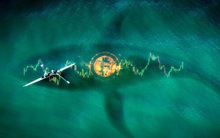 Một trong những 'cá voi' lớn nhất trên thị trường tiền số: 2 người bạn trung học với danh mục đầu tư trị giá hàng tỷ USD, chủ yếu là Ether