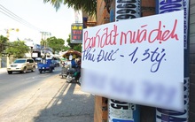 Có nên chờ giá bất động sản giảm để “bắt đáy”?