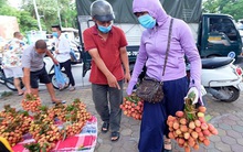 Vải thiều Bắc Giang được bán với giá 20.000 đồng/kg ở Thủ đô