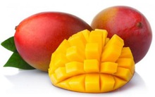 Nhu cầu xoài tăng mạnh ở Mỹ, nhất là xoài hữu cơ