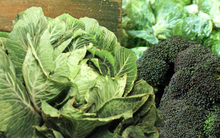 Ăn rau giàu nitrat mỗi ngày có thể giảm đáng kể nguy cơ mắc bệnh tim mạch và đột quỵ