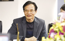 TS. Lê Xuân Nghĩa: 'Thời điểm này nhắc tới 'bong bóng' tài sản là không hiểu gì về khủng hoảng'