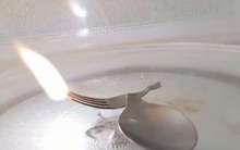 Chuyên gia chỉ ra 2 dụng cụ nhà bếp và 2 thực phẩm tuyệt đối không nên cho vào lò vi sóng kẻo phát sinh độc tố, thậm chí phát nổ