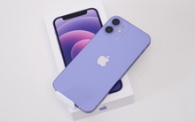 iPhone 12 màu tím về Việt Nam