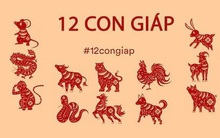 Đầu tháng 5 dương lịch, 3 con giáp này hoàn toàn rũ bỏ được vận xui, cả tháng đón tin vui dồn dập, làm gì cũng cảm nhận được sự thuận lợi hanh thông