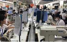 Hai năm thực thi CPTPP: Doanh nghiệp vẫn “mù mờ” thông tin