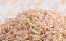 3 loại thực phẩm nảy mầm không những không độc mà còn bổ dưỡng hơn gấp bội