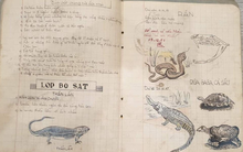 Cuốn vở Sinh học cách đây 64 năm: Ghi chép siêu nghệ thuật, hình vẽ đẹp mê hồn khiến học trò trỗi dậy động lực học hành!