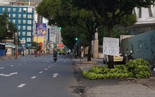 Giá chuối rớt thảm khi Trung Quốc thừa cung