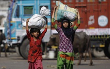 ILO: Chỉ trong 4 năm, toàn cầu tăng thêm 8,4 triệu lao động trẻ em