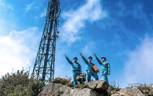 Viettel Construction (CTR) chốt ngày chia thưởng cổ phiếu và trả cổ tức bằng tiền cho cổ đông với tổng tỷ lệ 39,5%