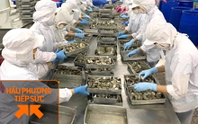 Các doanh nghiệp thủy sản đăng ký mua 500.000 liều vắc-xin phòng Covid-19