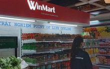 Alibaba và Baring hoàn tất đầu tư 400 triệu USD vào The CrownX, VinMart dần chuyển đồi thành WinMart