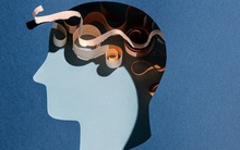 Tài ứng biến của kẻ trí tuệ: Dụng trí là Bình Tĩnh, giỏi ứng biến là Khéo Léo, đỉnh cao thức thời là Bao Dung, Tử tế là chân Giá Trị