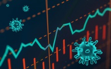 Đại dịch đã gây ra những tác động đặc biệt nào lên nền kinh tế?