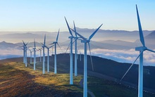 13 dự án điện gió không kịp bán điện trong năm nay sẽ phải chờ đến khi nào?