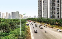 Sau “cơn sốt”, giá nhà đất lên mặt bằng mới