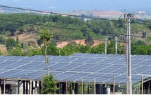 Nhà đầu tư điện mặt trời “méo mặt” vì nợ