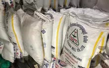 Cẩn trọng với việc "mượn" xuất xứ trong sản phẩm đường mía