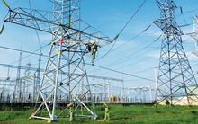 Vinaconex đăng ký mua hơn 6 triệu cổ phiếu ND2, muốn nâng tỷ lệ sở hữu tại Nedi 2 lên trên 51%