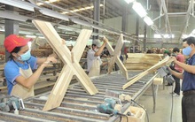 Ngành gỗ chưa biết sống sao giữa “siết” và “nới”