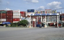 Hụt hơi vì cước tàu biển tăng phi mã