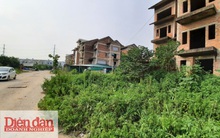 Đánh thuế biệt thự bỏ hoang: “Nói dễ, khó làm”