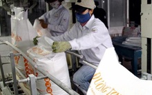 Đề xuất đấu giá hạn ngạch nhập khẩu đường trong quý 3/2021