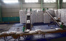 Giá phân bón bước vào chu kỳ tăng