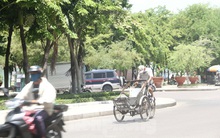 Người lao động Bình Định vật vã mưu sinh dưới nắng nóng khắc nghiệt