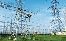 Malblue – công ty liên quan với Chủ tịch HĐQT Vneco - đăng ký mua 10 triệu cổ phiếu VNE