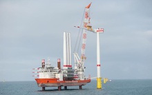 Các ‘đại gia’ điện gió ngoài khơi dồn dập vào Việt Nam