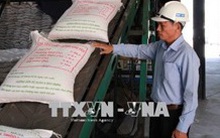 Đấu giá hạn ngạch thuế quan nhập khẩu 108.000 tấn đường