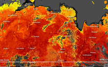 Vùng đất băng giá Siberia giờ đây đang nóng chưa từng có, nhiệt độ mặt đất lên tới 48 độ C