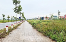 Phiên đấu giá đất kỷ lục ở Thái Nguyên giữa mùa dịch và chiêu trò làm giá tạo sốt ảo