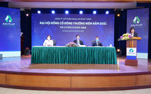 [Live ĐHĐCĐ AAA] Kế hoạch niêm yết cổ phiếu tại thị trường chứng khoán Mỹ