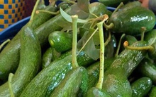 Đặc sản Tây Nguyên: Bơ giảm giá không phanh, bí đỏ phải chào bán cho gia súc