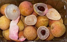 Vải thiều Việt sang Singapore, giá bán khuyến mại 105.000 đồng/kg